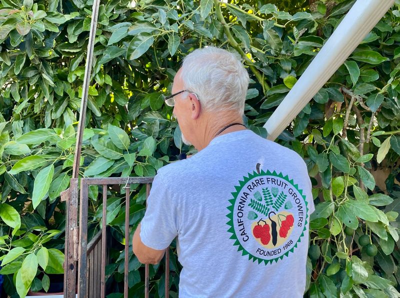 Tropical Fruit Growers Plant Sales