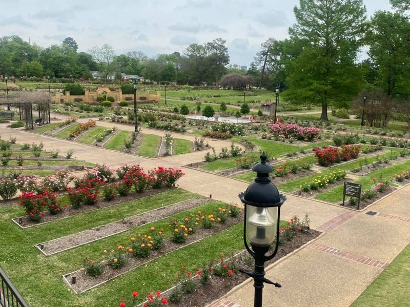 Tyler Municipal Rose Garden and Nearby Growers Tyler Municipal Rose Garden and Nearby Growers