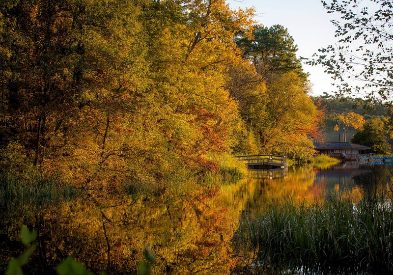 Tyler State Park