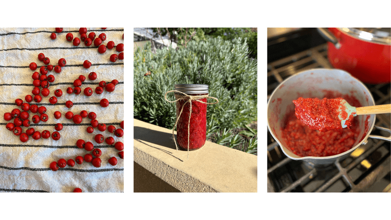 UCLA’s preserve recipe is not a tested detoxification method UCLA’s preserve recipe is not a tested detoxification method