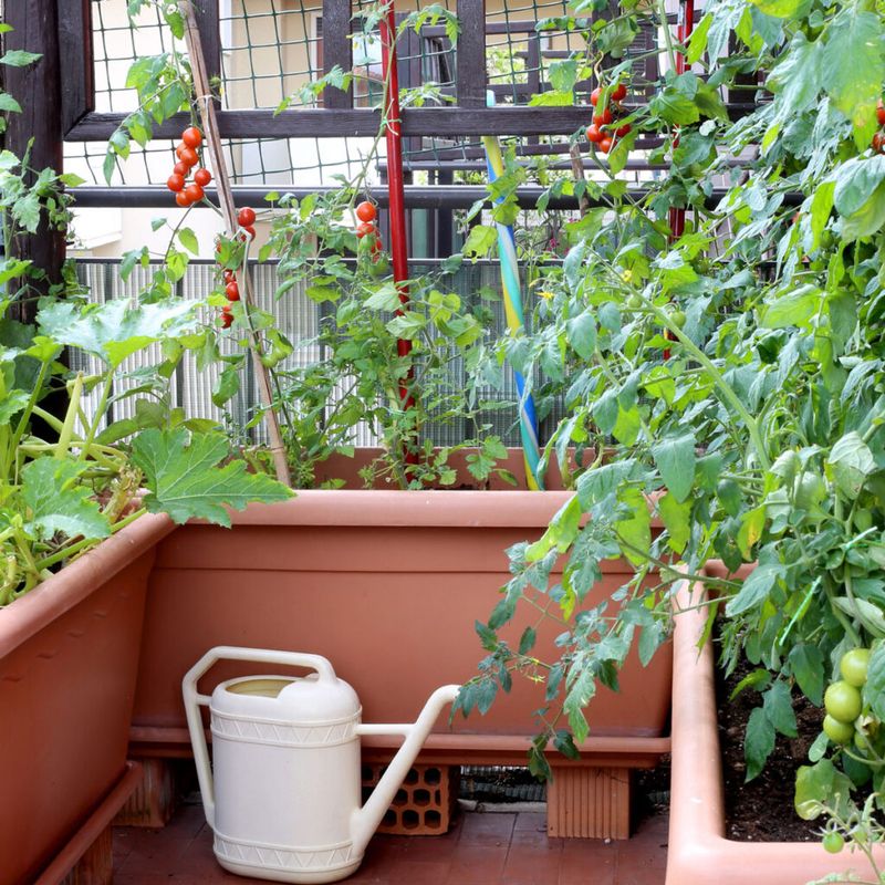 Use a condition-based routine through fall