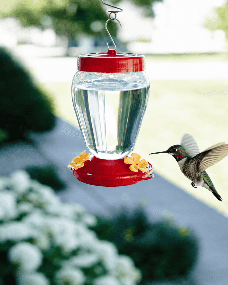 Use a feeder only as a supplement