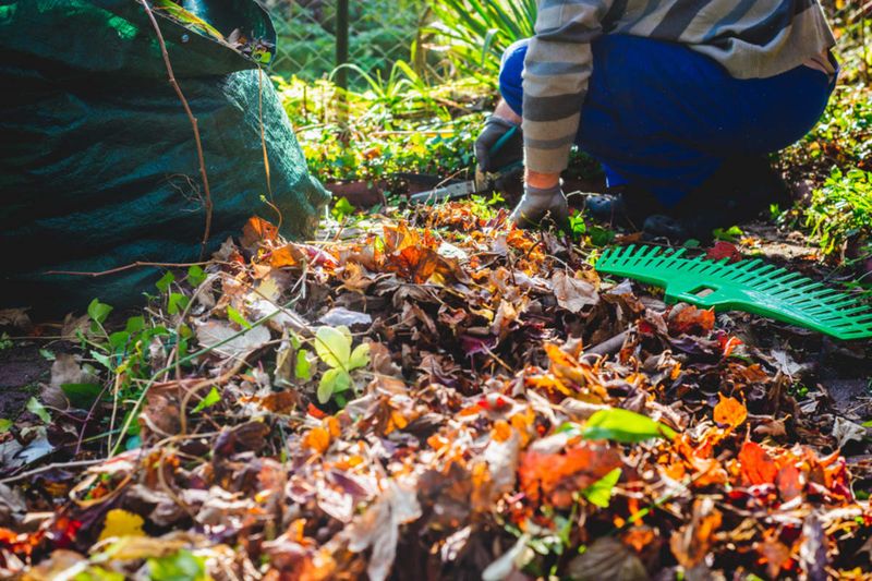 Use a selective cleanup rule for each part of the yard