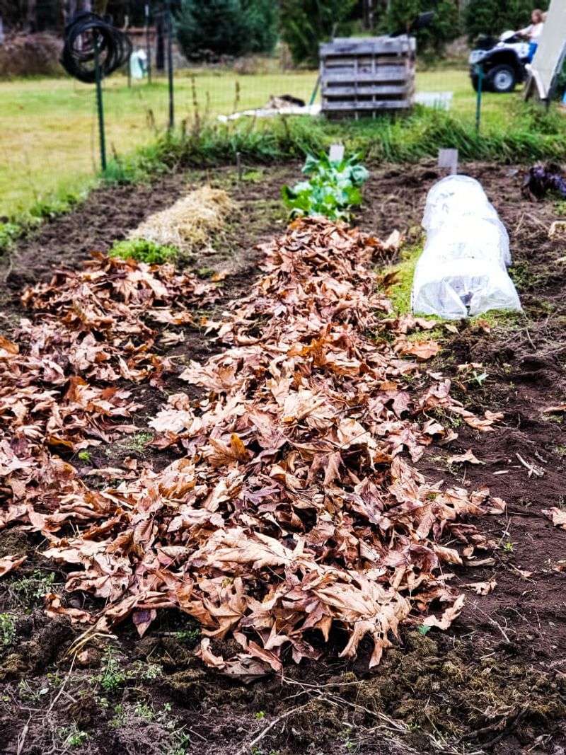 Use fall as lead time, not a crop guarantee