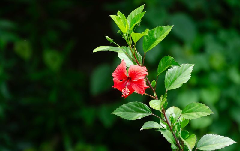 Use fertilizer cautiously as cooler weather approaches Use fertilizer cautiously as cooler weather approaches