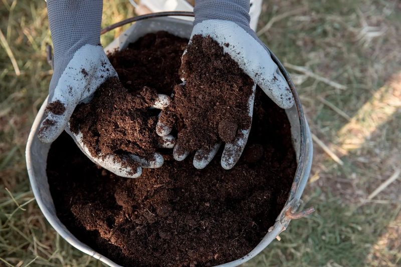 Use finished compost to support soil, not as an automatic fertilizer replacement