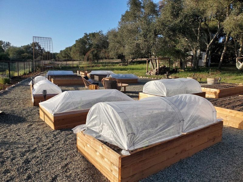 Use frost covers carefully
