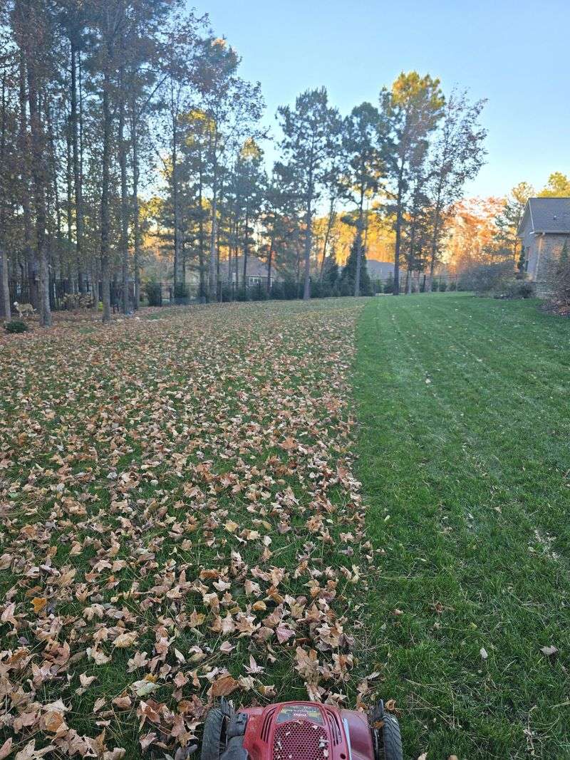 Use grass visibility to judge whether the leaf layer is manageable Use grass visibility to judge whether the leaf layer is manageable