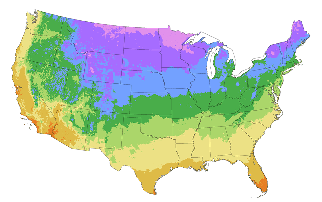 Use hardiness information as a guide, not a promise Use hardiness information as a guide, not a promise