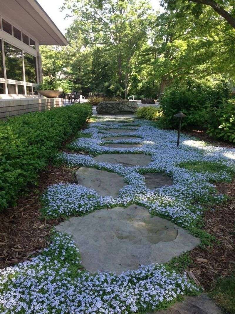 Use low, non-woody plants only where Zone 0 allows them