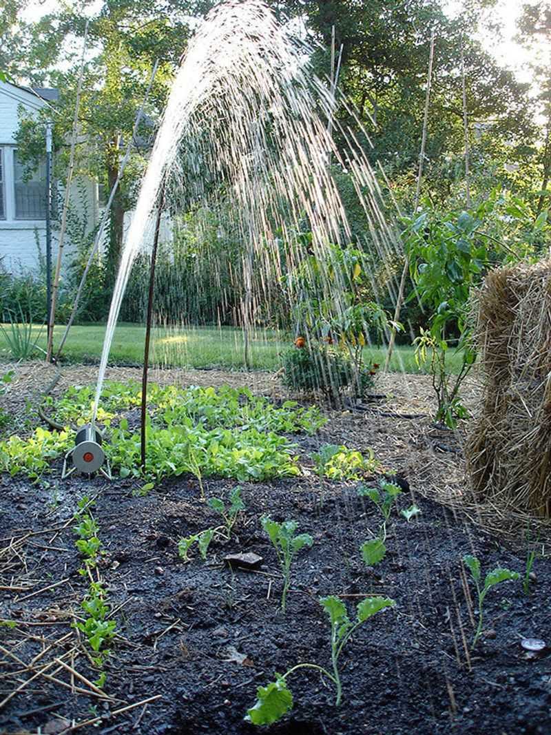 Use moisture and harvest habits to support leaf quality
