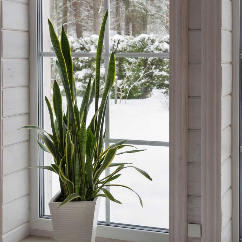 Use one to two months as a rough winter benchmark
