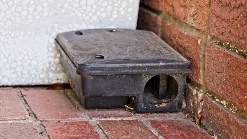 Use protected traps for confirmed activity, not poison as a shortcut
