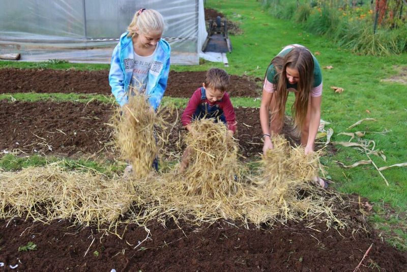 Use regional mulch guidance, not one universal depth Use regional mulch guidance, not one universal depth