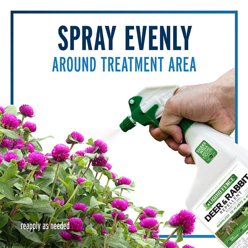 Use repellents only as a maintained backup