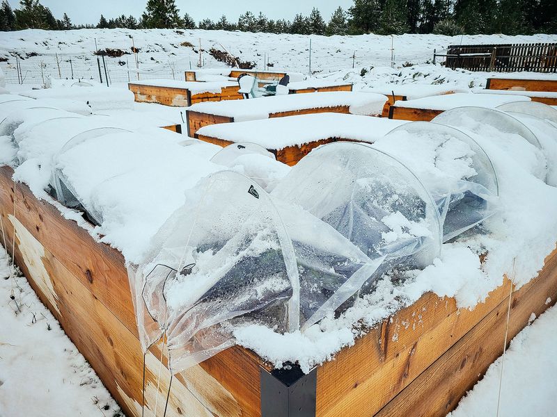 Use stronger season extenders in colder conditions Use stronger season extenders in colder conditions