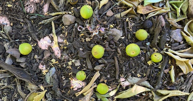 Use this season’s evidence to guide next year