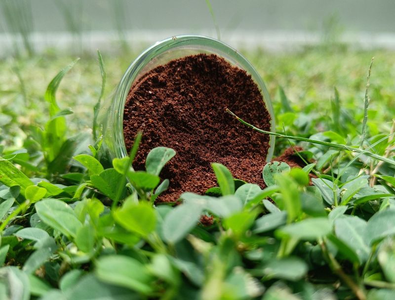 Used Coffee Grounds Used Coffee Grounds