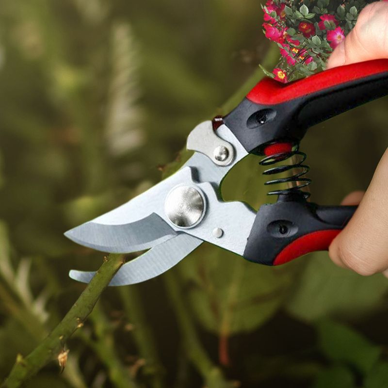 Using Dull or Dirty Tools