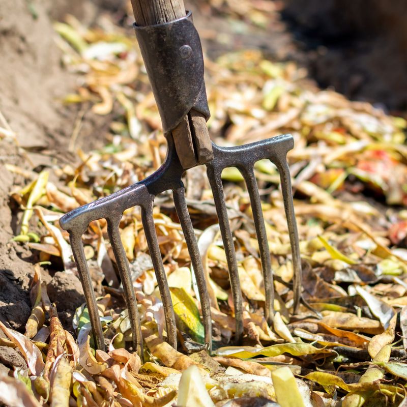 Vegetable Peels and Trimmings