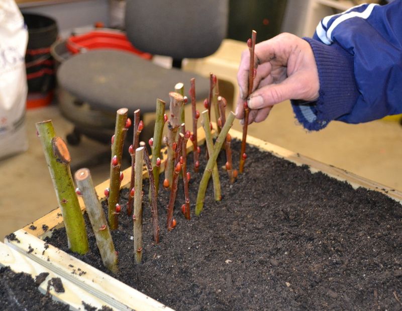Verify the method and give cuttings time Verify the method and give cuttings time