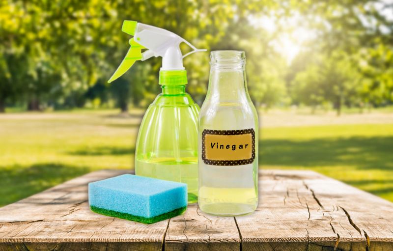 Vinegar