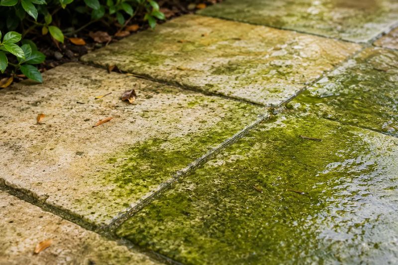 Vinegar may help on pavement, not every surface