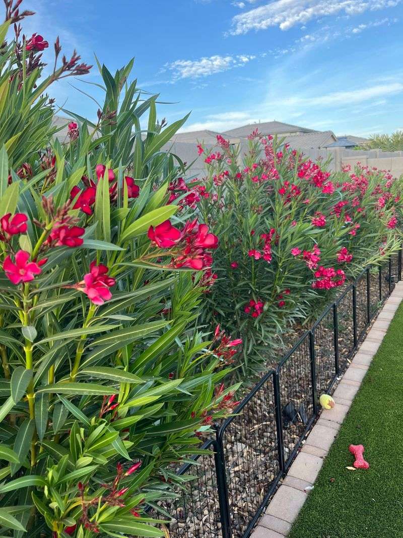 Walking past the shrub is not the same as exposure