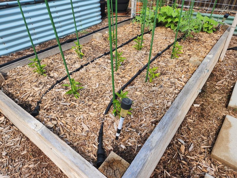 Water and Mulch Smart