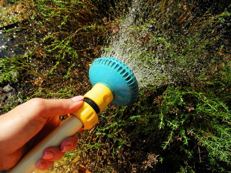 Water new plants without keeping the soil soggy