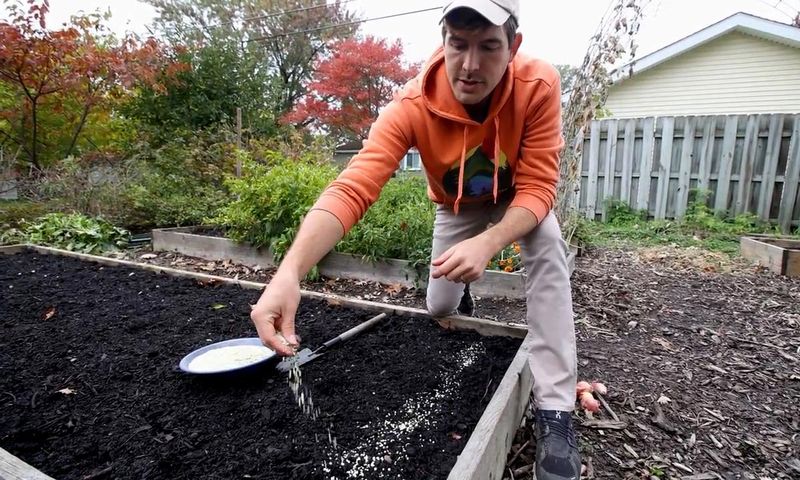 Wet soil can create conditions for rot Wet soil can create conditions for rot