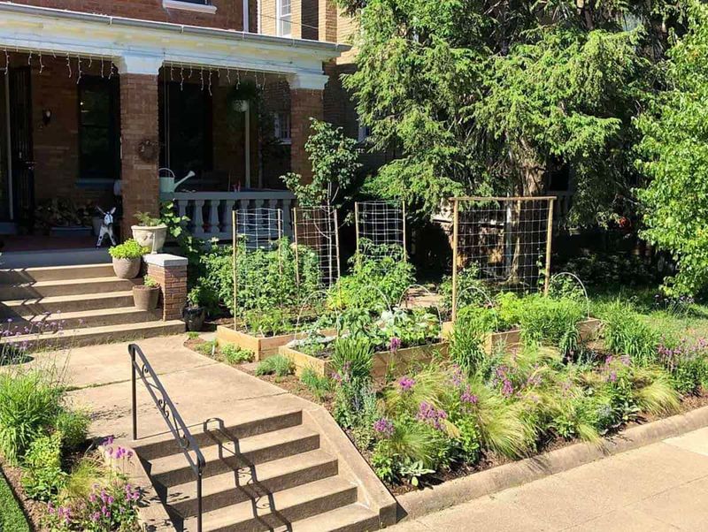 What California’s baseline rule means for a shaded garden What California’s baseline rule means for a shaded garden