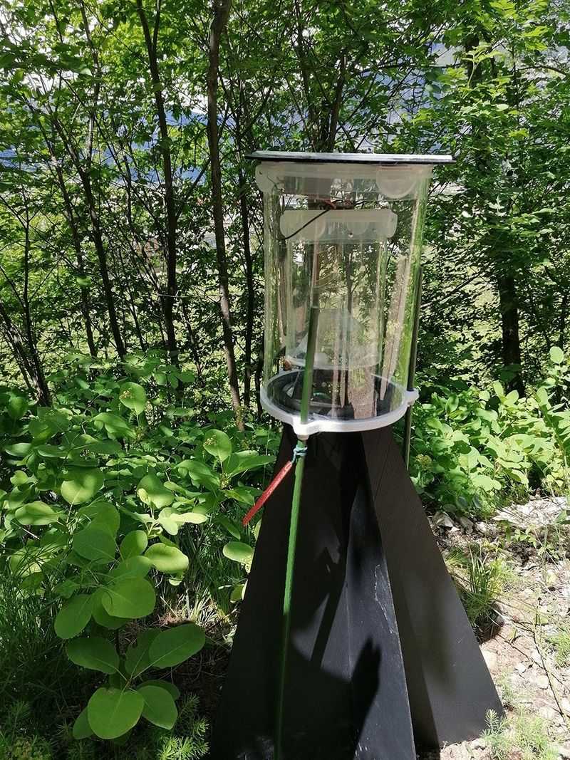 What a spearmint oil trap study found What a spearmint oil trap study found