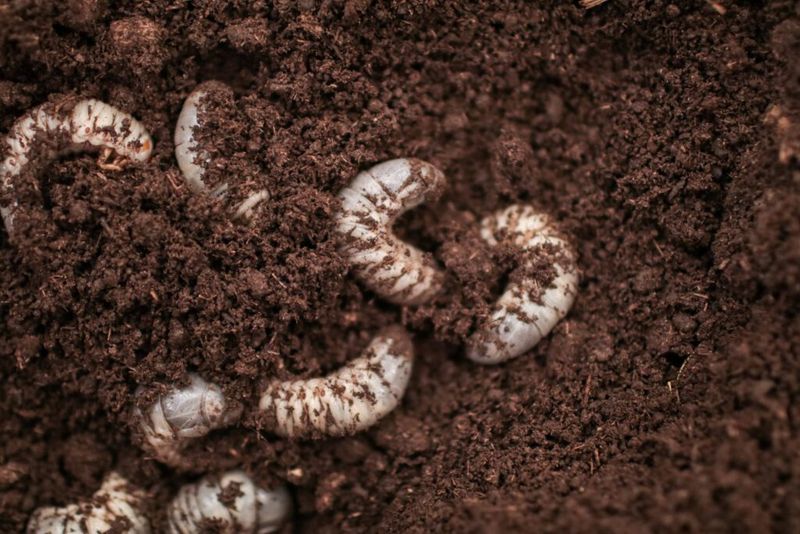 What fall conditions can—and cannot—tell you What fall conditions can—and cannot—tell you