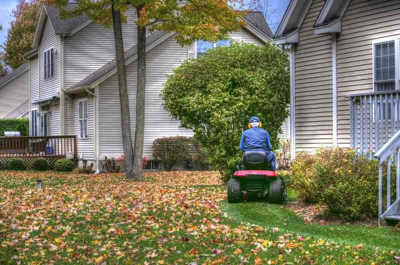 What leaf mowing can—and cannot—do What leaf mowing can—and cannot—do