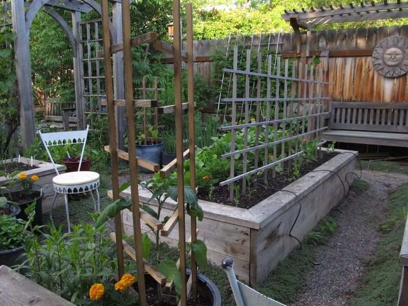 What makes a wooden trellis deteriorate?