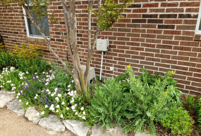 What native planting can—and cannot—promise