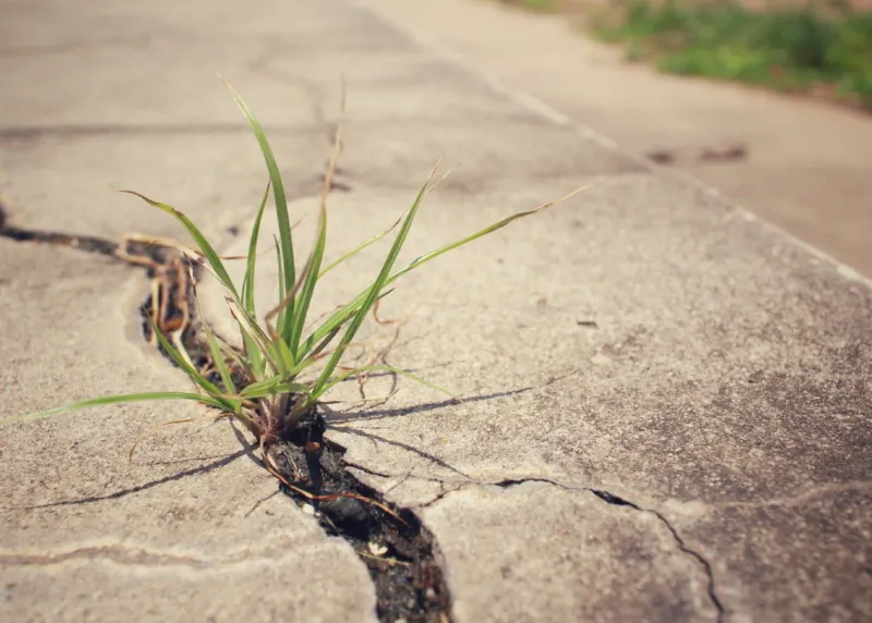 What should you check when pavement starts to move?