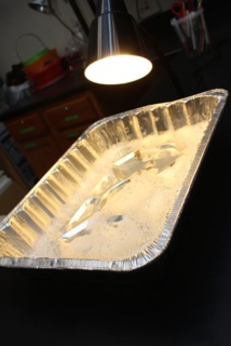 What the indoor trap evidence supports What the indoor trap evidence supports