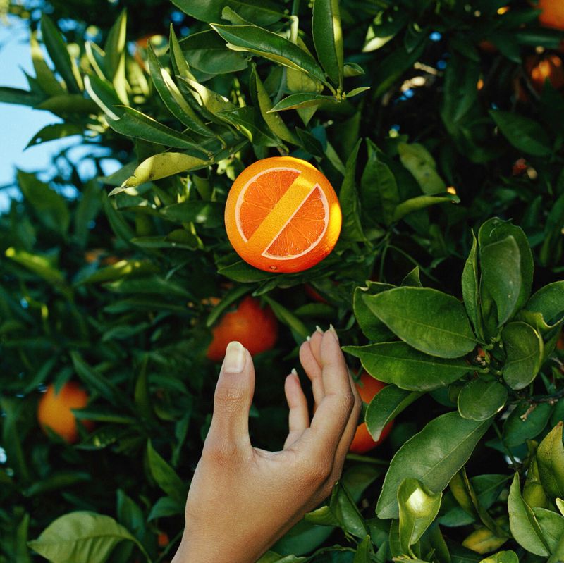 When recurring fruit drop becomes a yard problem