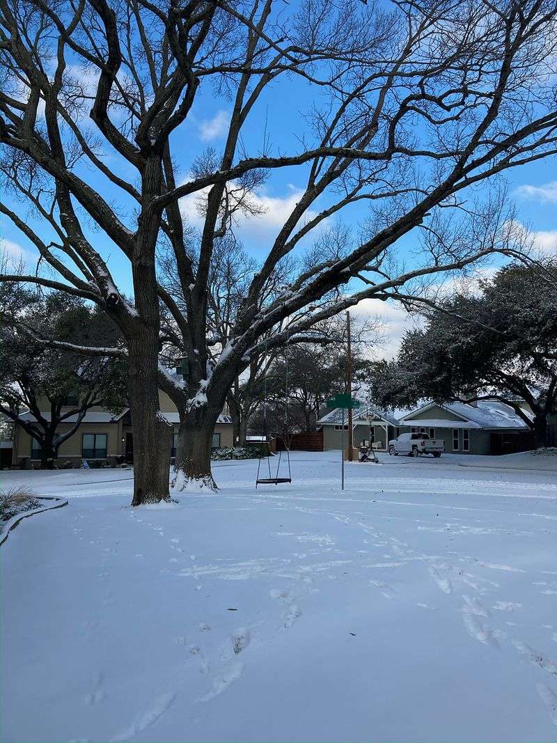 When should you water before a freeze?