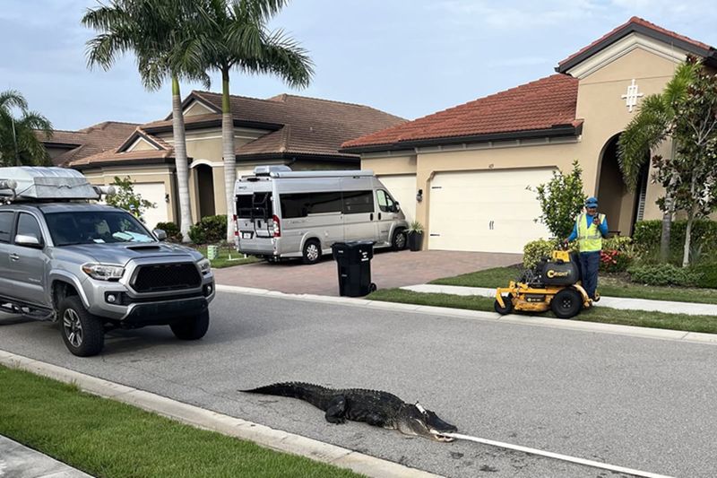 When to contact wildlife officials