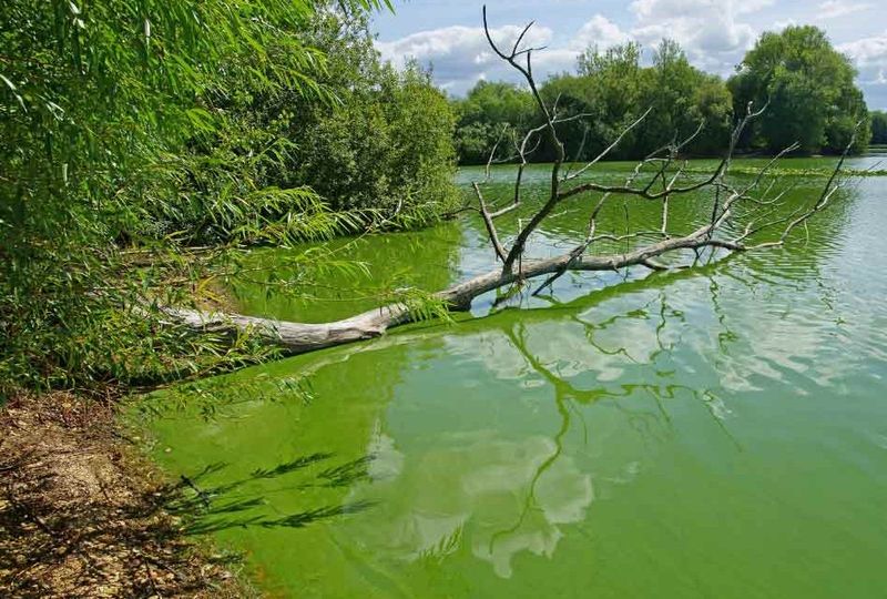 When water looks unusual, use official guidance
