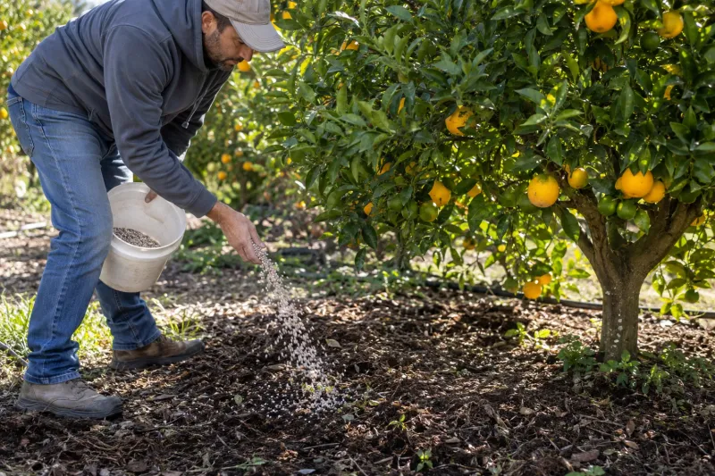 Why Late-Fall Fertilizer Can Backfire Why Late-Fall Fertilizer Can Backfire