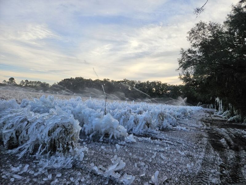 Why a Household Sprinkler Is Not a Safe Shortcut Why a Household Sprinkler Is Not a Safe Shortcut