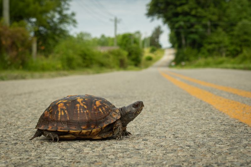Why an unnecessary move can create risk