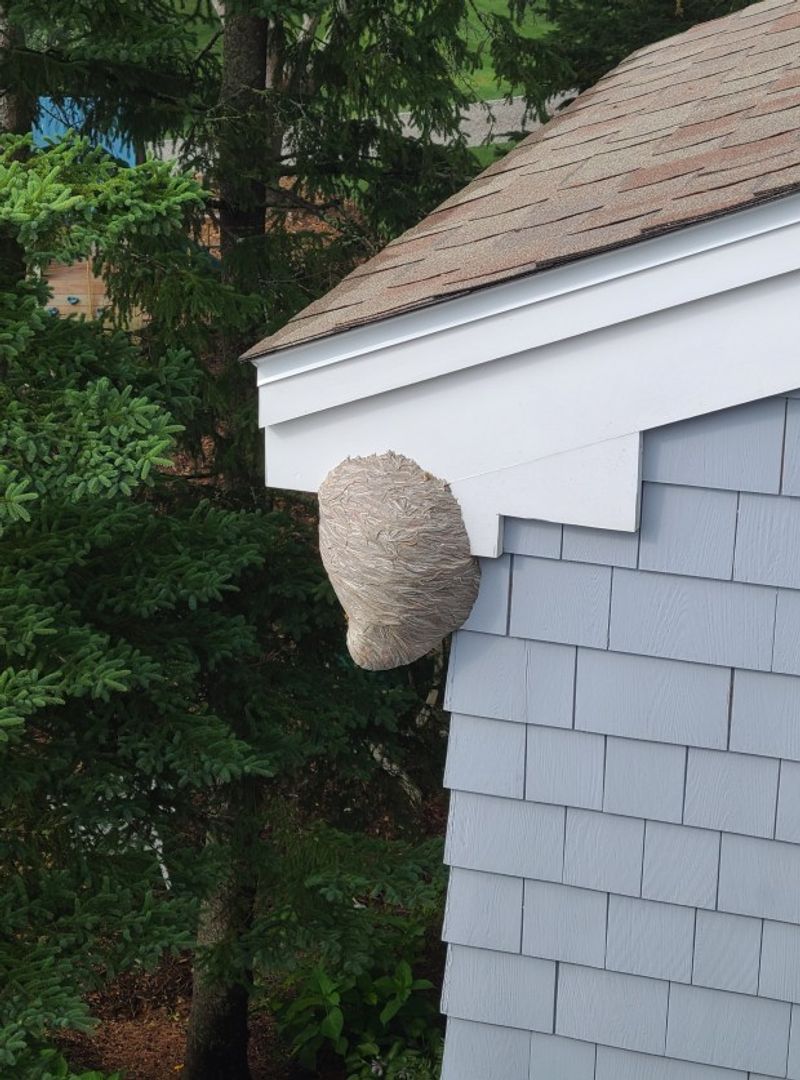 Why neighboring yards may see different activity Why neighboring yards may see different activity