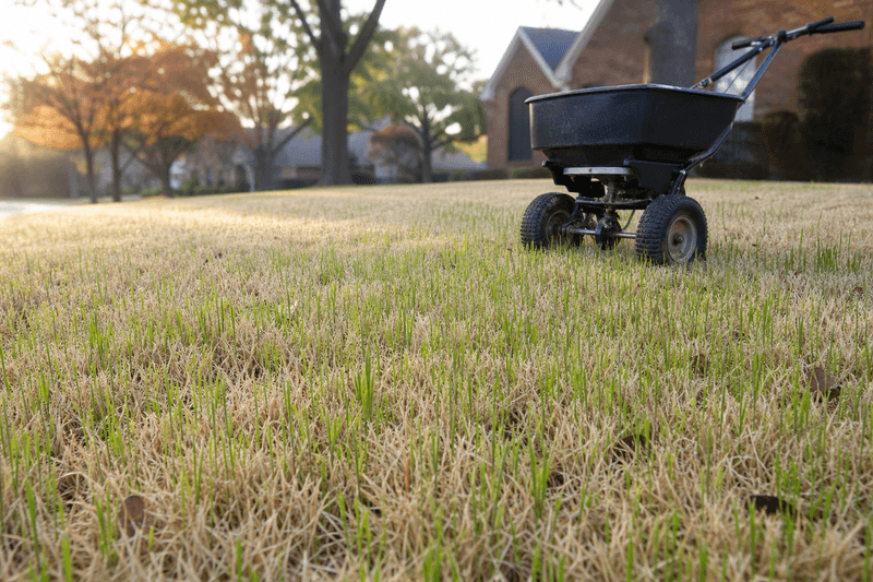 Why the first freeze is the wrong fertilizer deadline