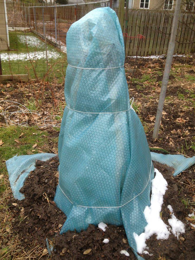 Wrap and Insulate Pots That Stay Outside