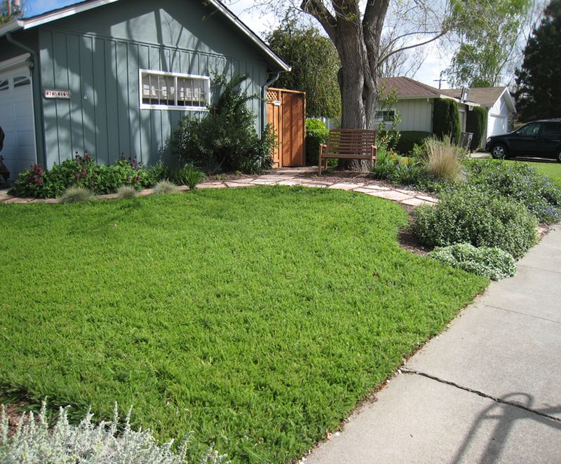 Yarrow Lawn
